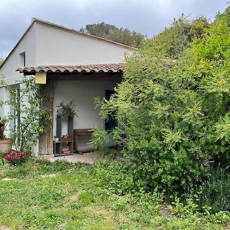 Charmante Petite Maison Avec Terrasse Et Jardin, Proche Tram *