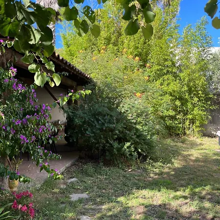 Charmante Petite Maison Avec Terrasse Et Jardin, Proche Tram Castelnau-le-Lez
