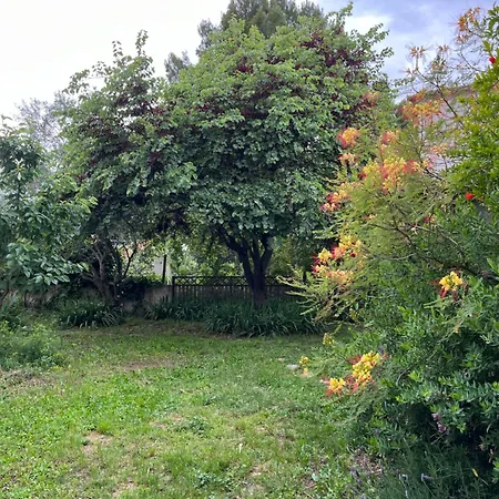 Charmante Petite Maison Avec Terrasse Et Jardin, Proche Tram * Castelnau-le-Lez