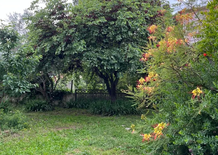 Charmante Petite Maison Avec Terrasse Et Jardin, Proche Tram * Castelnau-le-Lez